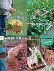 -可可天空农场(中大店)