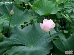 -御花园·粤菜·海鲜火锅(中山公园店)