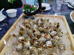 冰镇花螺-七鲜渔港美食餐厅(巽寮湾海景店)