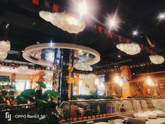-龙泉人椰子鸡(龙昆南店)