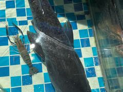 -南海底小海鲜·湘菜(鲁巷吴家湾店)
