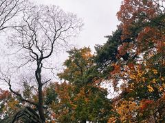 -北京上方山国家森林公园