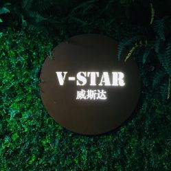 -V-STAR威斯达•高级私人定制