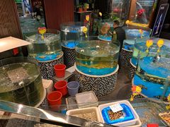 水产区-蓬川食府(金海道店)