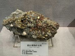 -湖南省地质博物馆