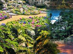 -梭布垭石林景区