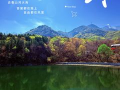 -阳台山自然风景区