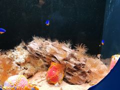 -欢乐海岸海洋奇梦馆