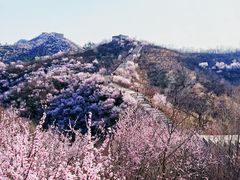 -龙泉峪长城