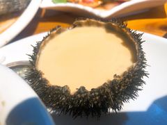 海胆蒸蛋-蓝湾碧波·老字号·疍家非遗海上餐厅