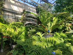 -国家植物园南园