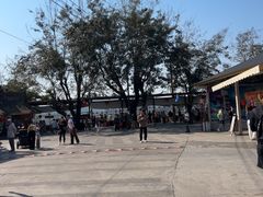 -西双版纳傣族园