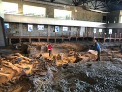 -自贡恐龙博物馆