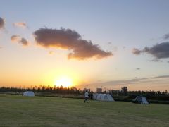 -春花秋色城市公园