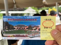 -秦始皇帝陵博物院(兵马俑)