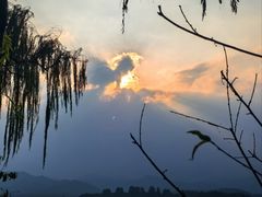 -杭州西湖柳莺里酒店·闻莺厅