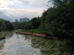 -八大山人梅湖景区