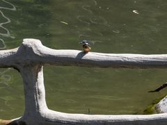 -黑龙潭风景区
