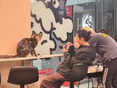 -Dogi&kiki Coffee(中心商务大厦店)