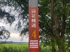 -白渔泡湿地公园