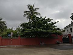 -海口市博物馆
