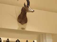 -麒麟中餐厅·经典粤菜·地道菜式老字号(广州长隆酒店)