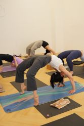 -YogaTime瑜伽时光