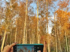 -长春市南湖公园