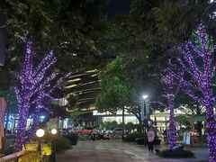 -瑞虹新天地月亮湾