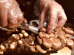 -大头椰·椰子鸡火锅(南宁万象城店)