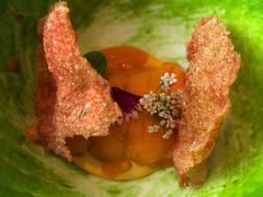 海胆虾片-九献创意菜·新中式(亮马河花园私宴店)
