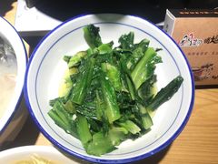 -俏媳妇有鸡菜园