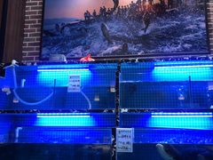 -姜君·千岛湖鱼头馆(浦东大道店)