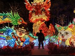 -郑州方特梦幻王国