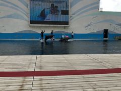 -北戴河圣蓝海洋公园