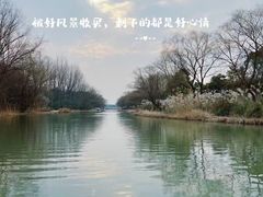-顾村公园