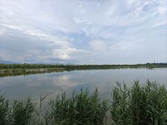 -野鸭湖国家湿地公园