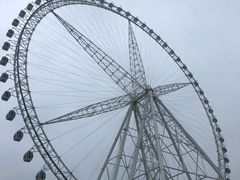 -祥源·阜阳生态乐园