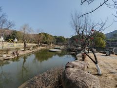 -白马涧龙池景区