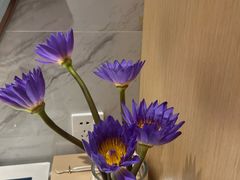 -悠然湯·汗蒸汤泉会馆