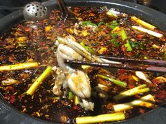 -费明中罗非鱼(大石坝店)