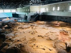 -自贡恐龙博物馆