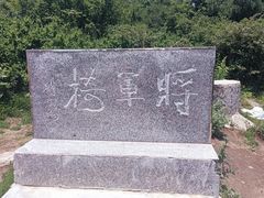 -王顺山国家森林公园