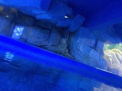 -蓬莱欧乐堡海洋极地世界