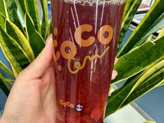 -CoCo都可(北新桥店)