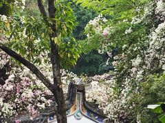 -深圳国际园林花卉博览园