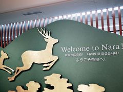 -奈良公园