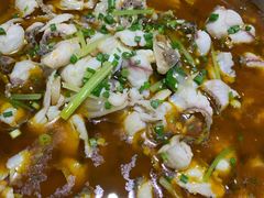 黑鱼-棒棒鱼活鱼火锅(防洪渠店)