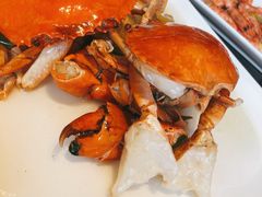 -碧丽宫大酒店(召稼楼店)