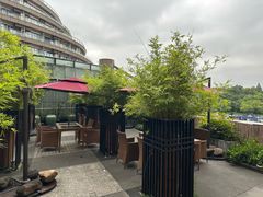 -青藤茶馆(凤起路店)